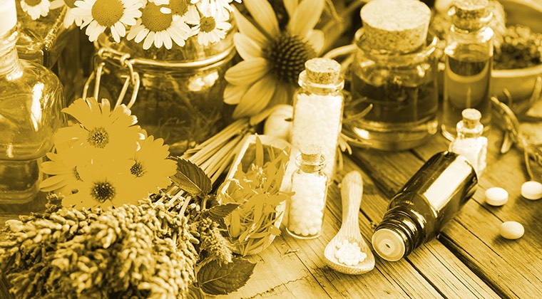 phytotherapie_ten-institut